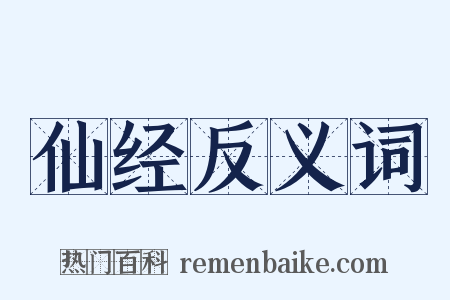 仙经反义词是什么意思的图片